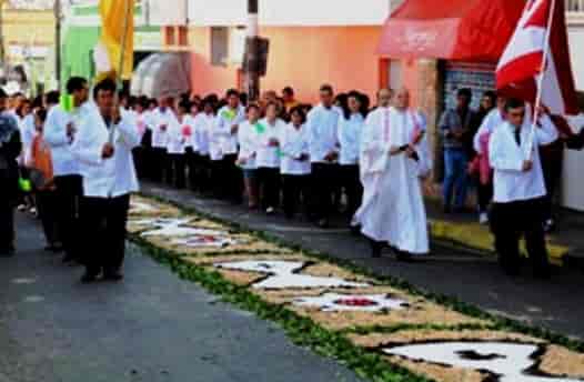 Banner do evento Confecção do Tapete de Corpus Christ - Todas as paróquias da cidade 
