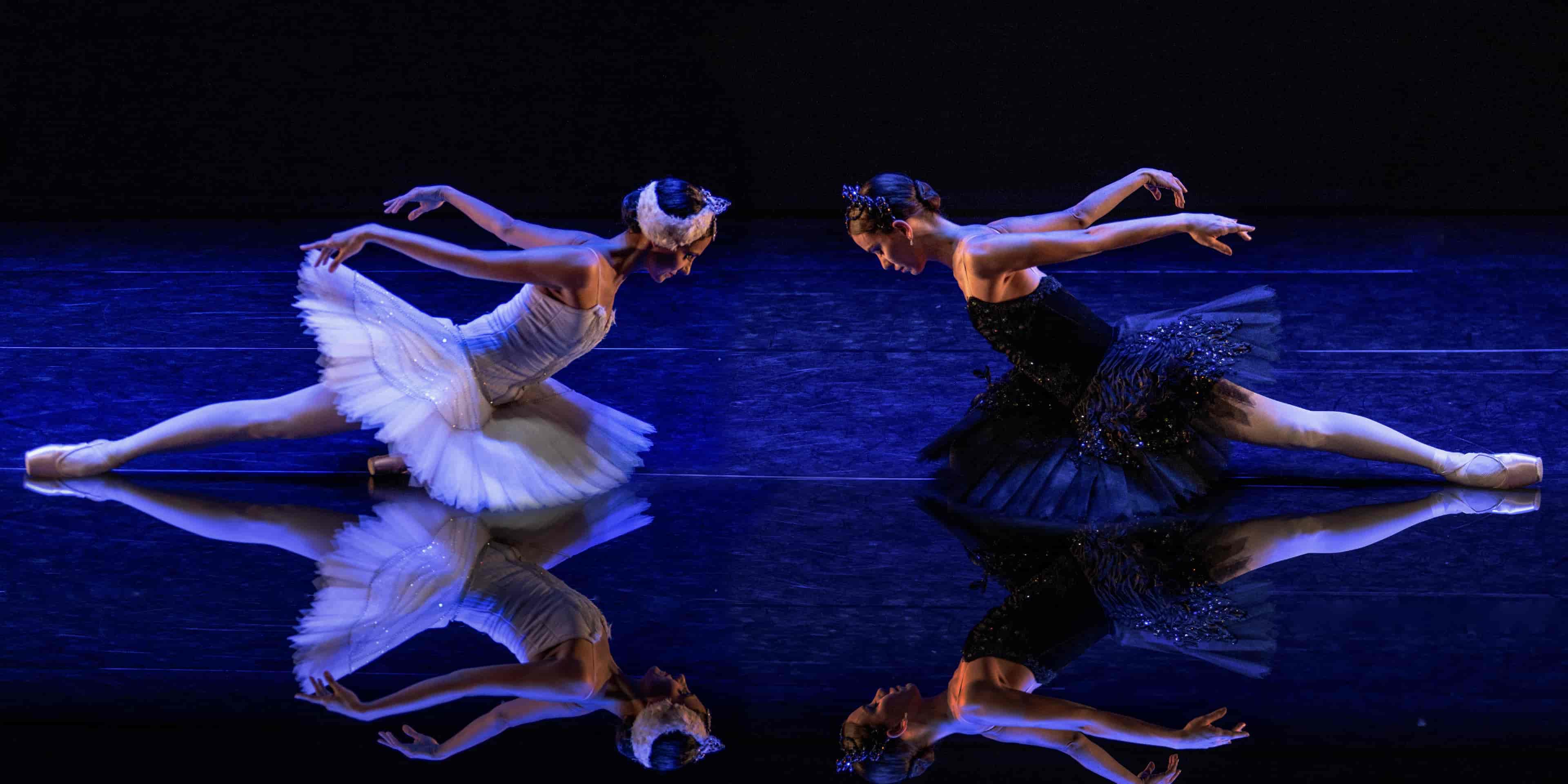 Imagem do evento SPCD | APRESENTAÇÕES NO GRANDE TEATRO CEMIG PALÁCIO DAS ARTES - BELO HORIZONTE/MG