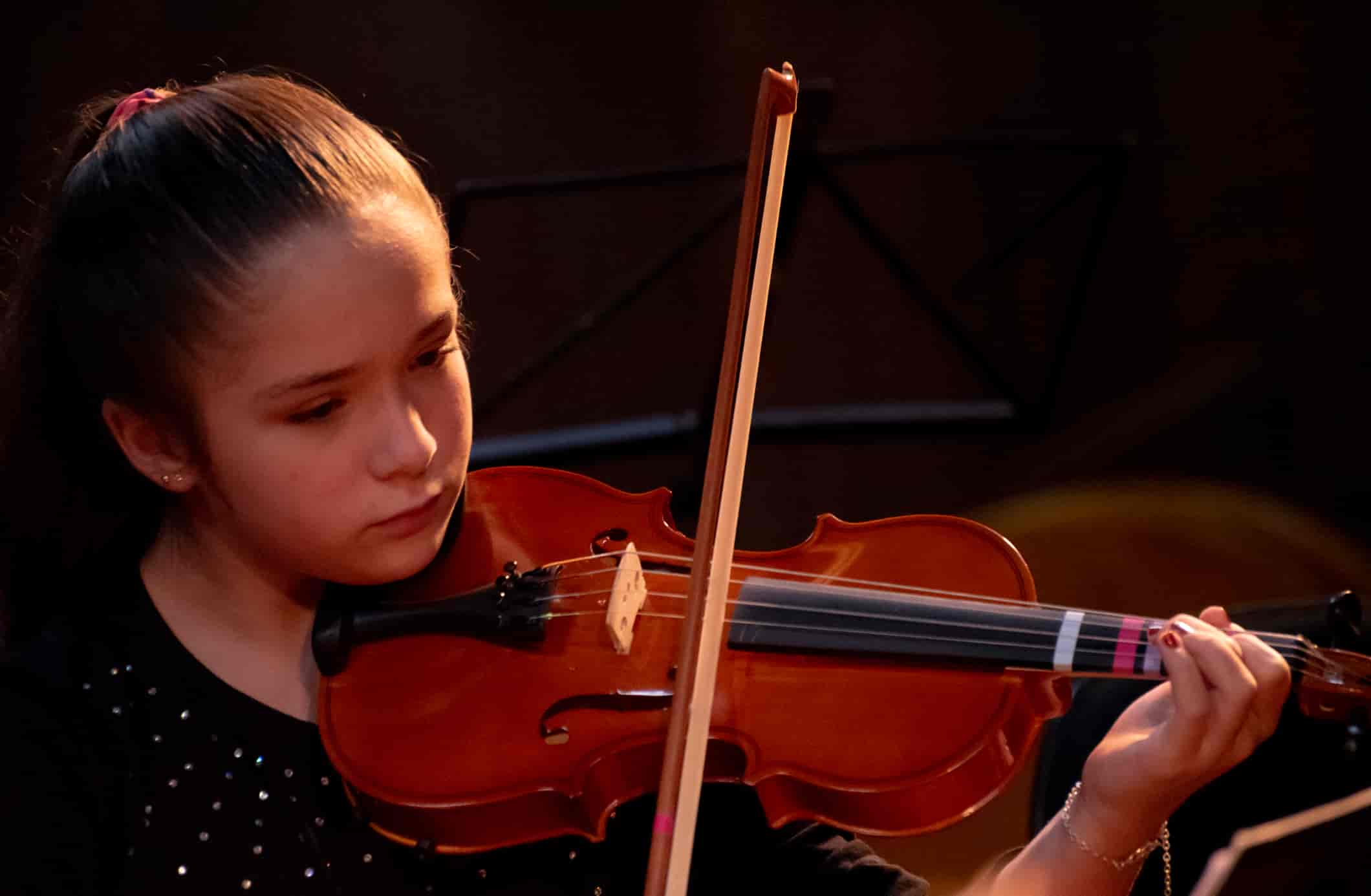 Imagem do evento Recital de Estudantes: Cordas Friccionadas