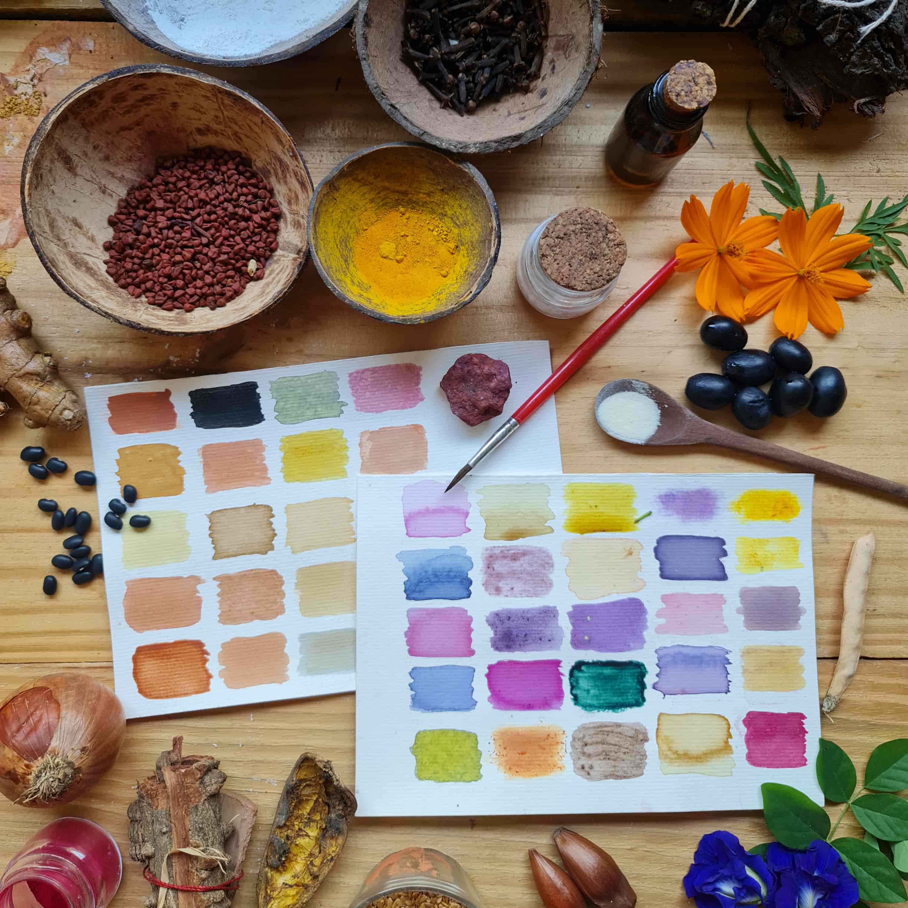 Imagem do evento Tintas da Natureza: Produção de materiais artisticos com cores vegetais e minerais