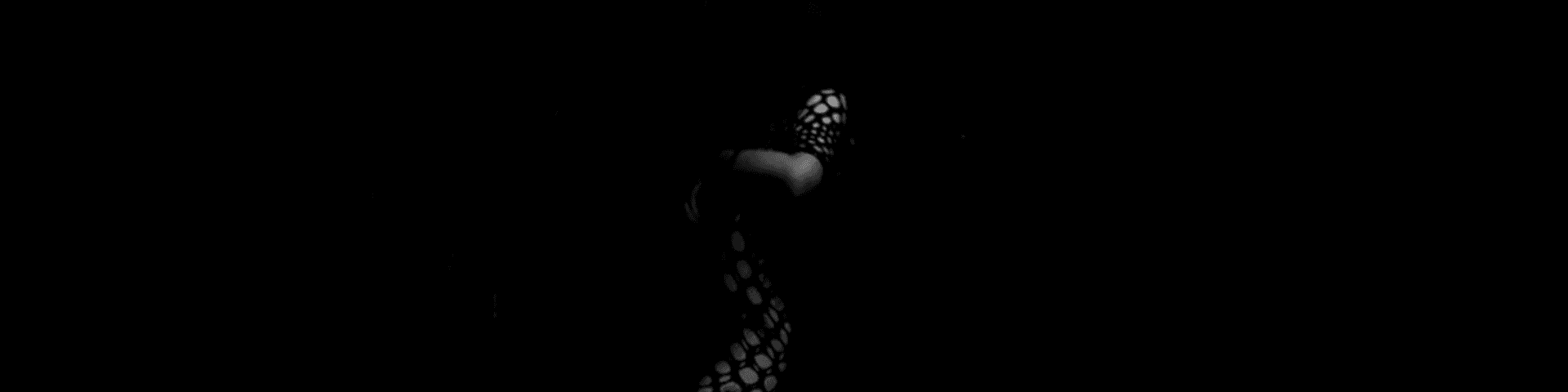 Banner do produtor do evento