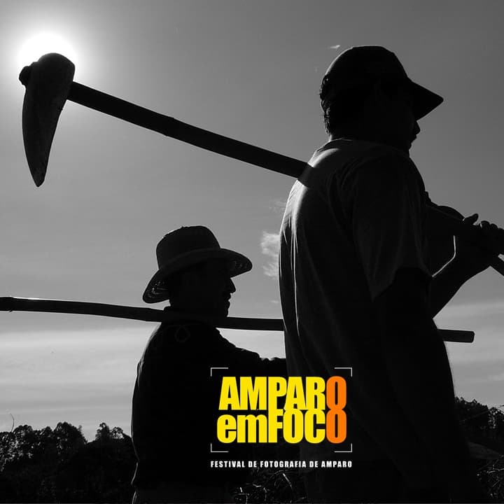 Banner do evento AMPARO EM FOCO