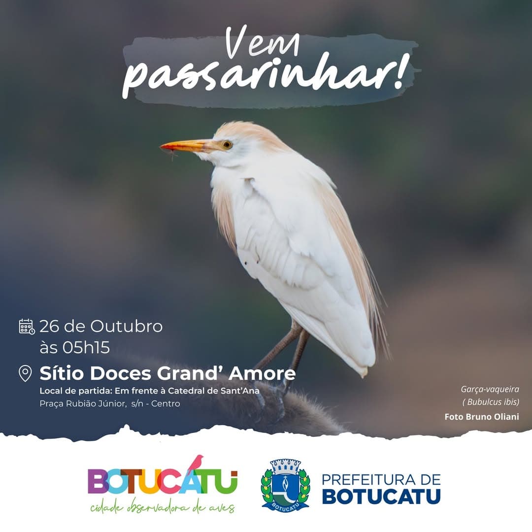 Banner do evento ✨ VEM PASSARINHAR! 🦜🌿