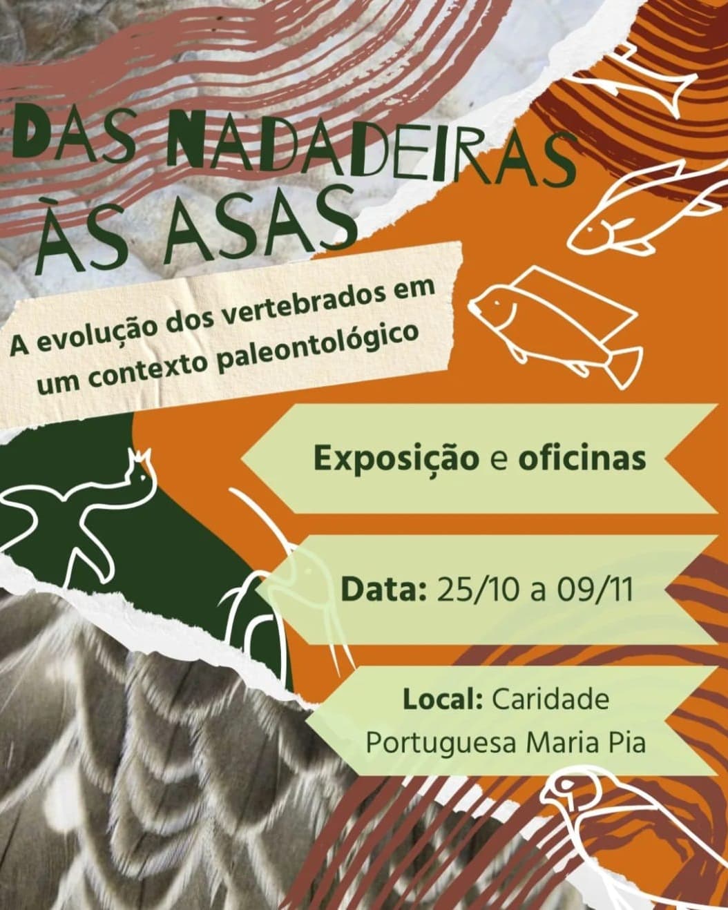 Banner do evento 🐟🦅 EXPOSIÇÃO | Das Nadadeiras às Asas  