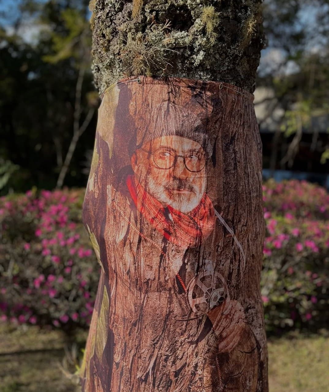 Banner do evento Exposição "Floresta de Retratos”, por Marcio Scavone