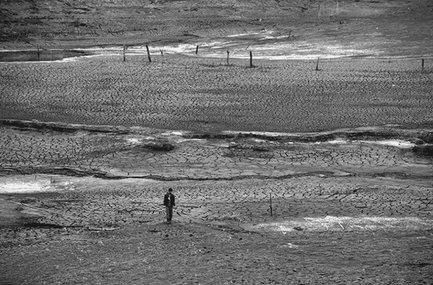 Banner do evento CINECLUBE OSWALD DE ANDRADE - ESPECIAL COP 30 - O JABUTI E A ANTA