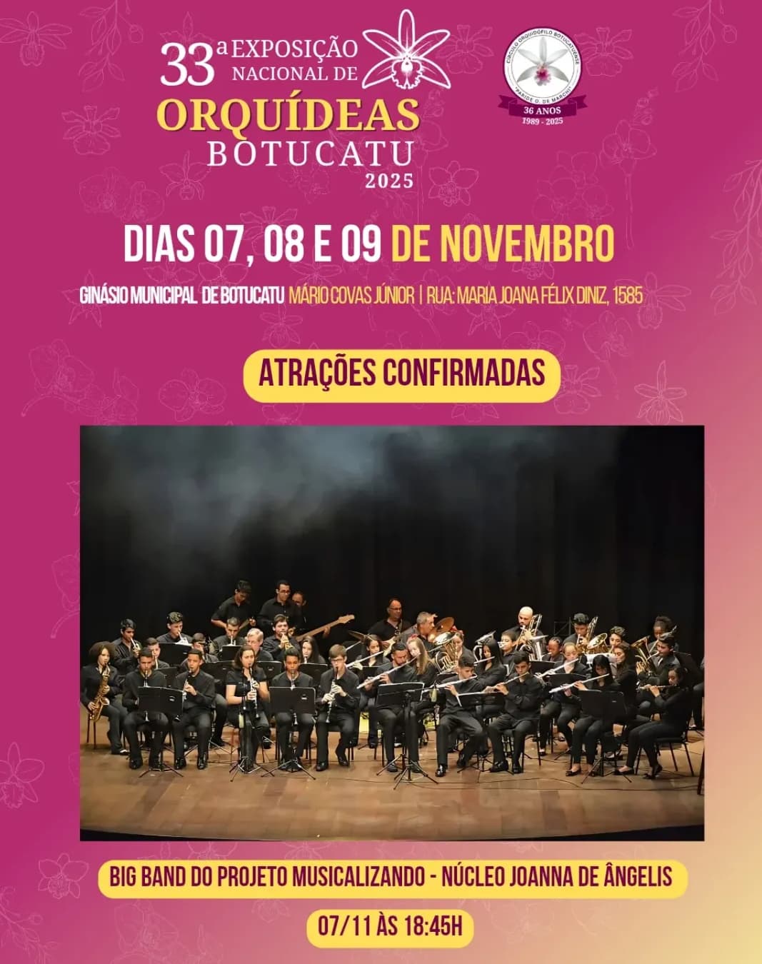 Banner do evento BIG BAND DO PROJETO MUSICALIZANDO - NÚCLEO JOANNA DE ÂNGELIS