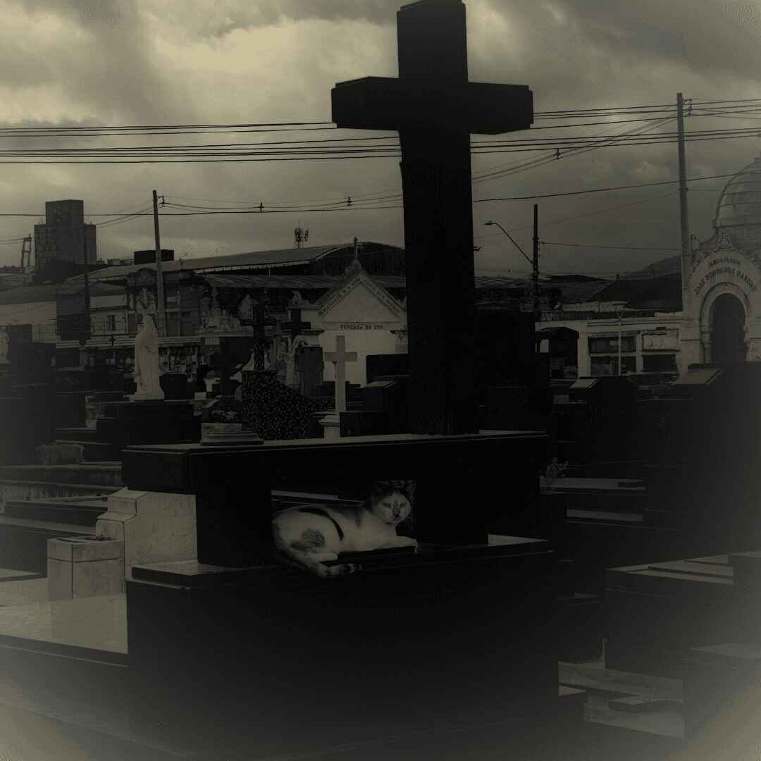 Banner do evento PAULISTA CULTURAL | O PODER SOBRENATURAL DE CONTAR HISTÓRIAS