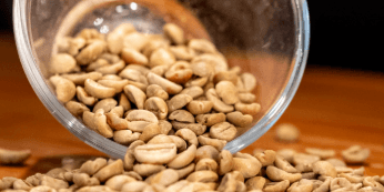 Banner do evento Roda de Conversa | Café em Foco – Degustação Guiada e Mentoria