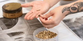 Banner do evento Programa Sejam Bem-Vindos | Bagagem do Saber