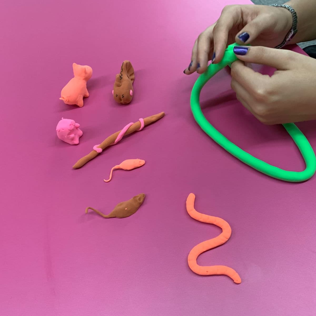 Banner do evento Visita Temática Que Bicho É Esse?