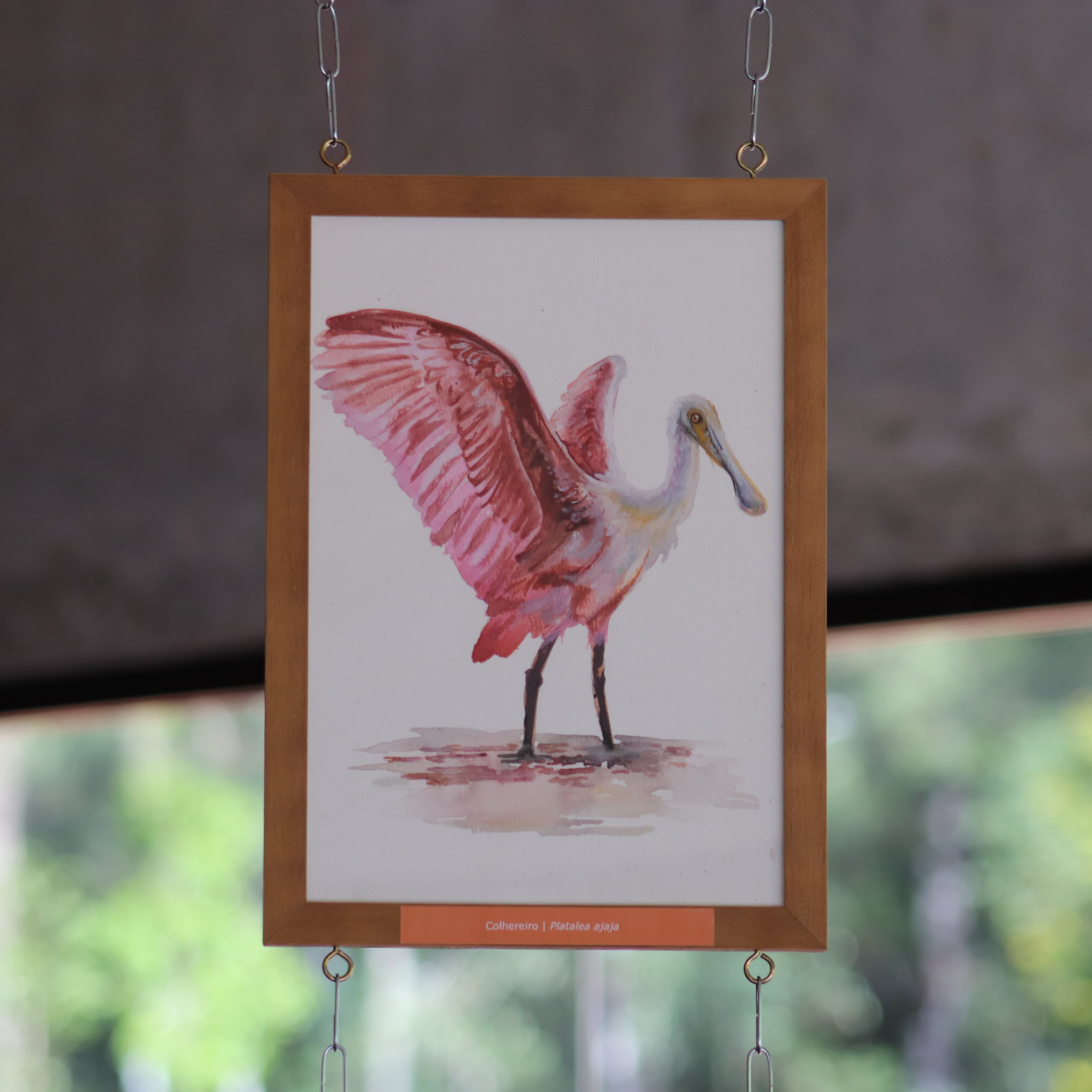 Banner do evento "Exposição Itinerante “Asas da Mantiqueira: Aves de Campos do Jordão”"