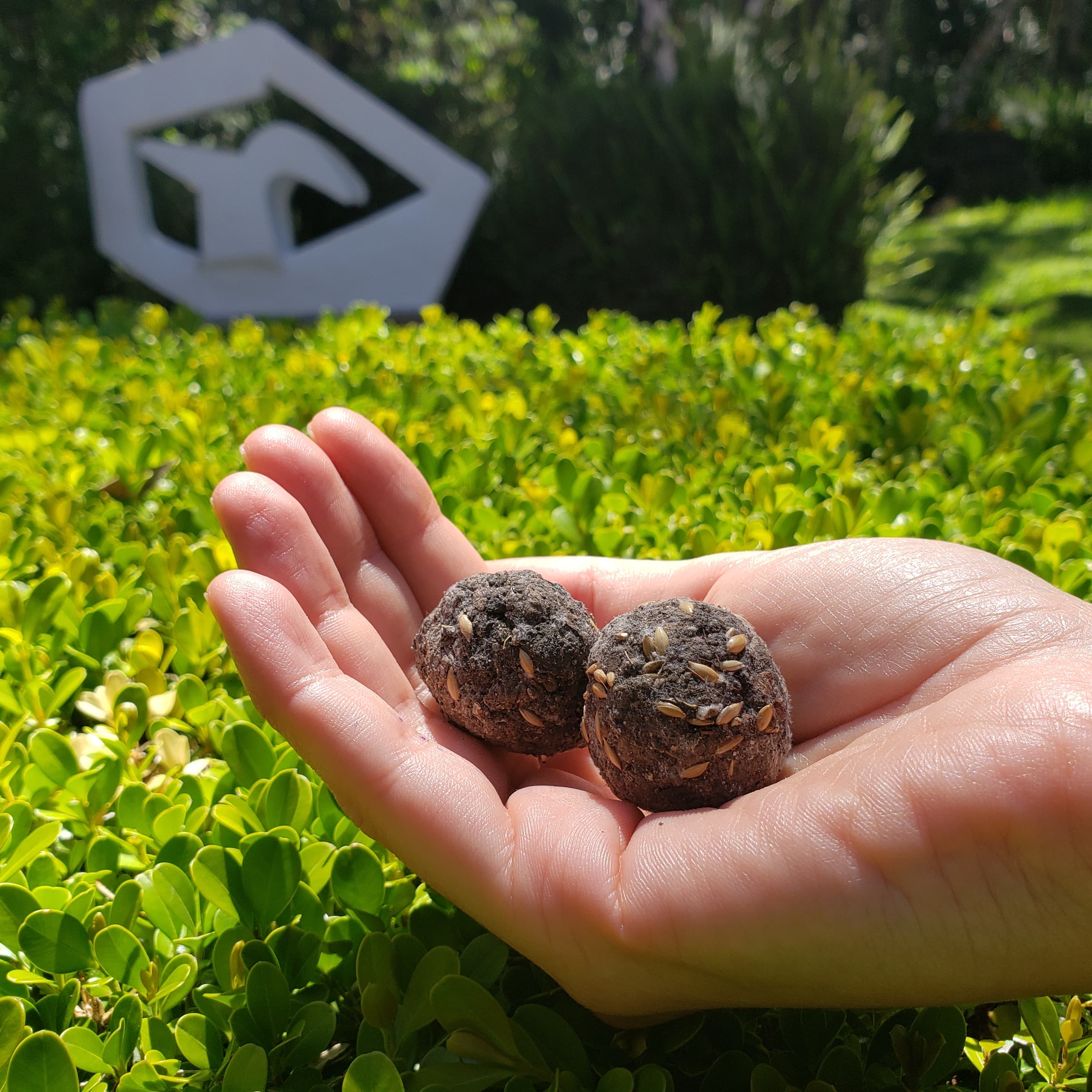 Banner do evento "Família no Museu Virtual: “Semear é Criar” "