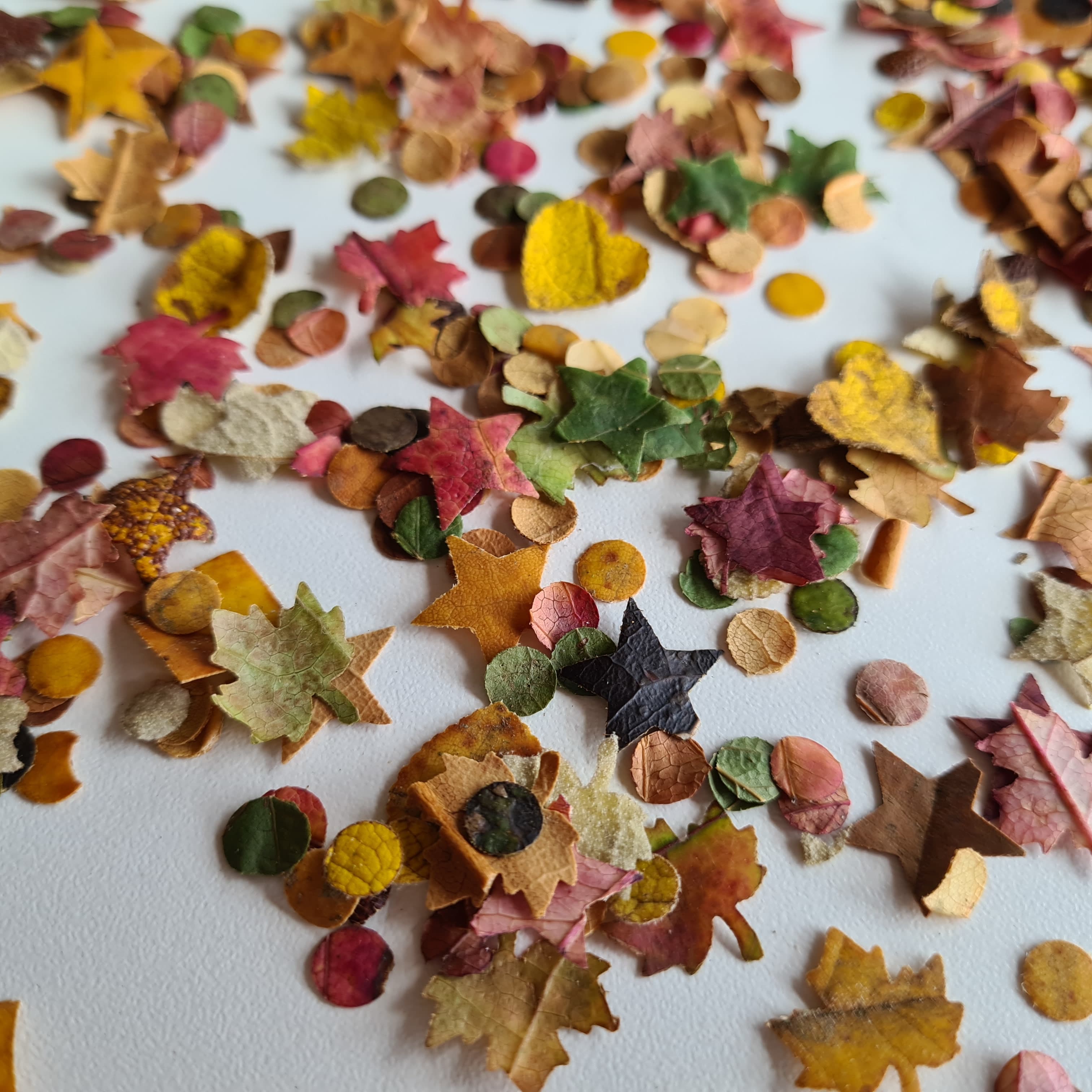 Banner do evento Família no Museu: “Confete Ecológico”