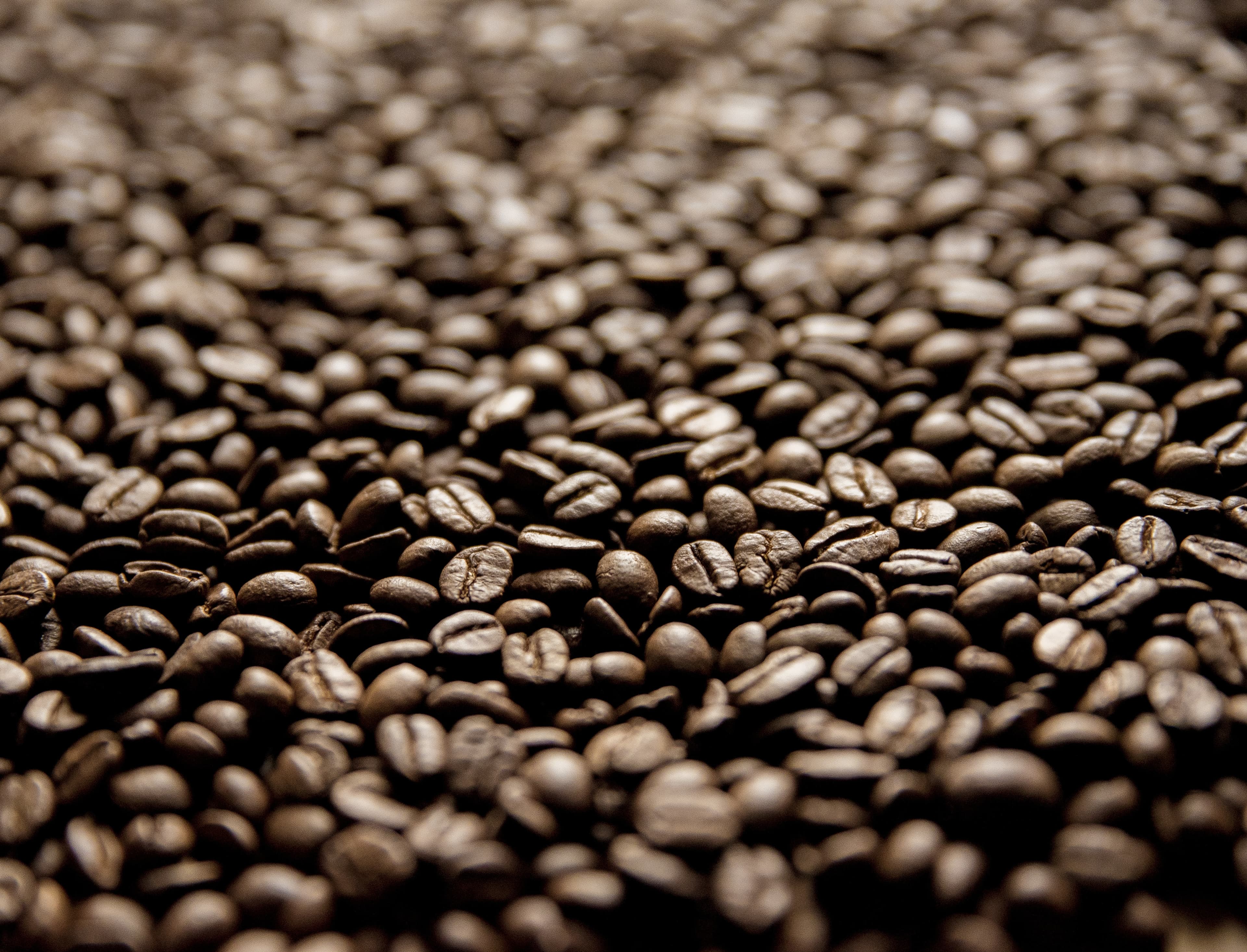 Banner do evento Desafio | 28 Anos do Museu do Café