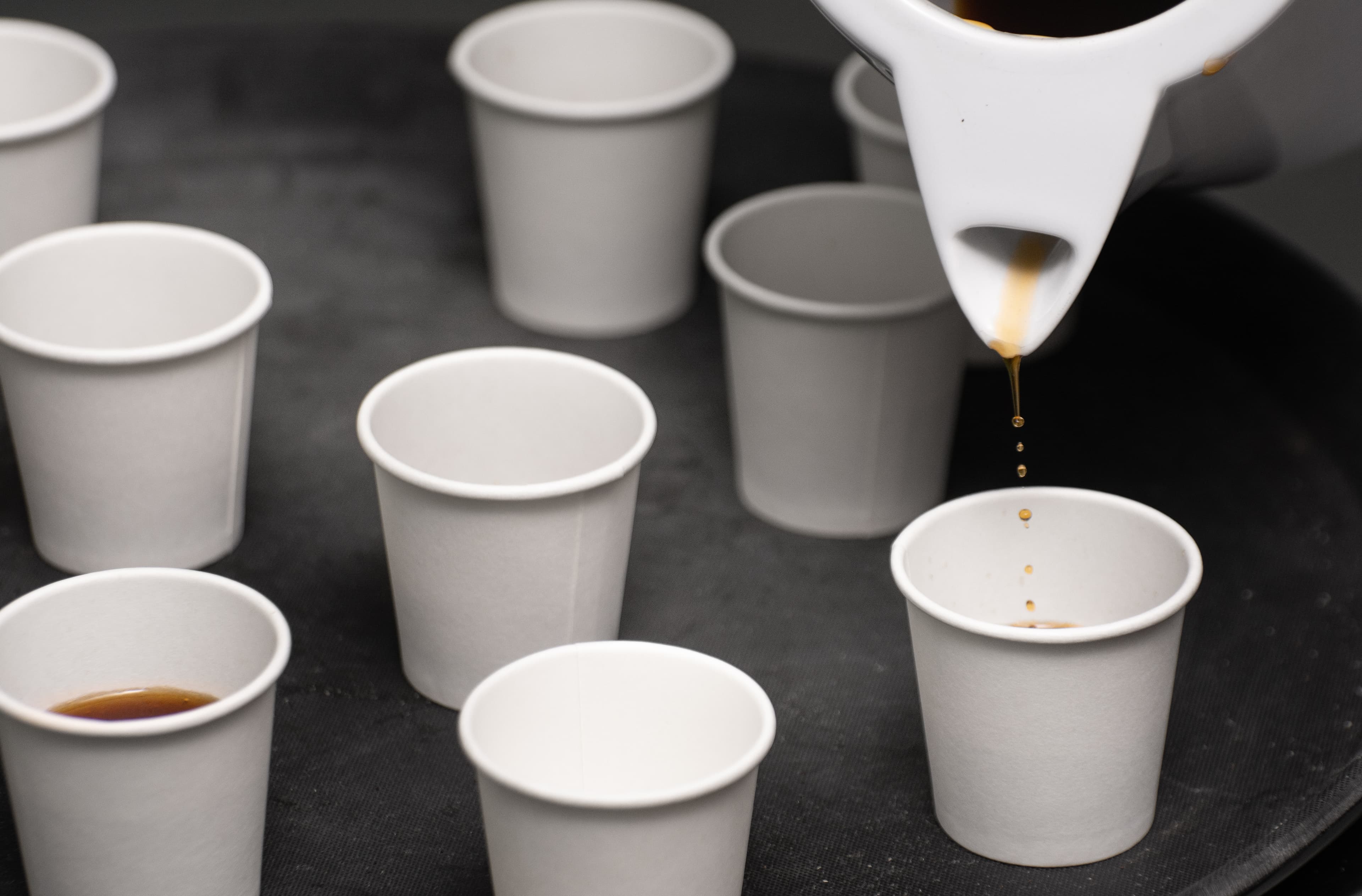 Banner do evento Mês das Mulheres | Degustações de café