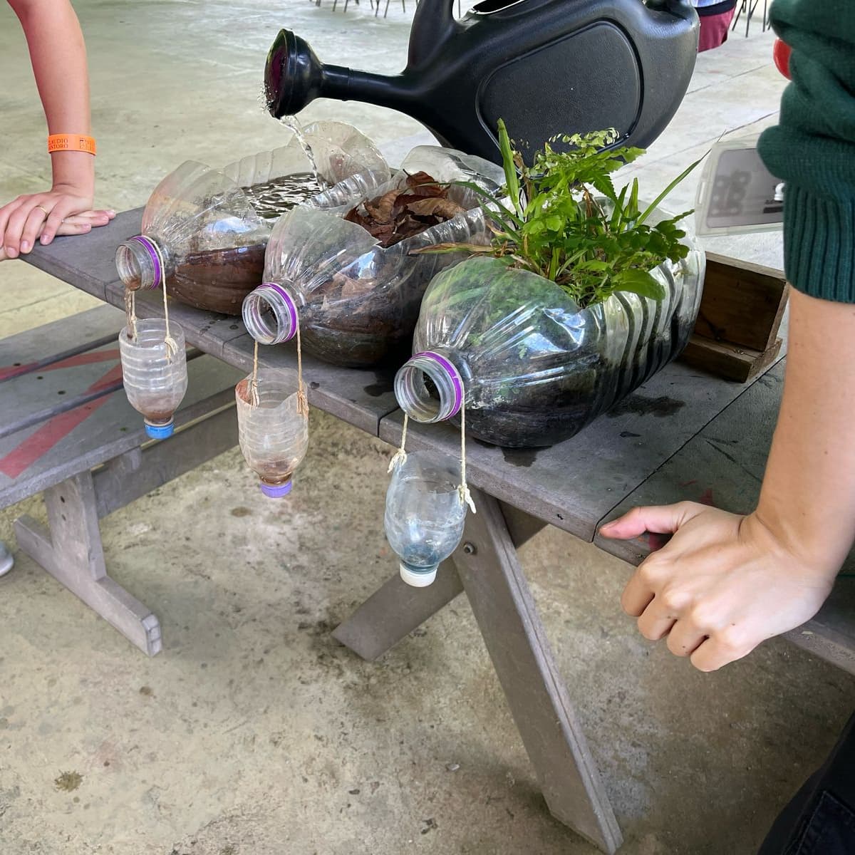 Banner do evento Família no Museu: “A Ação da Água no Solo”