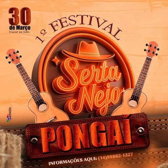 Banner do evento Festival Sertanejo 