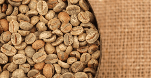 Banner do evento Workshop | Explorando o Sensorial do Café, com Dora Coffee Roaster