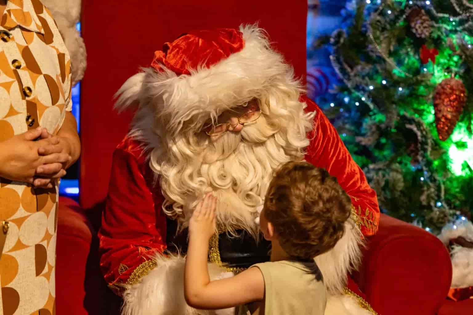 Imagem do evento Casa da Familia Noel