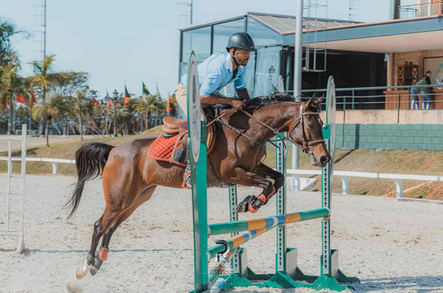 Imagem do evento EXPOSIÇÃO ESPORTIVA DO CAVALO ÁRABE DO BRASIL