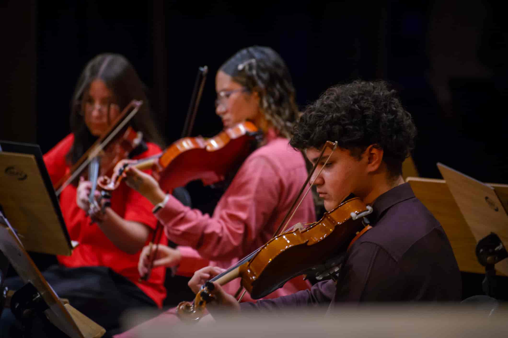 Imagem do evento Recital de Estudantes/Cordas Friccionadas