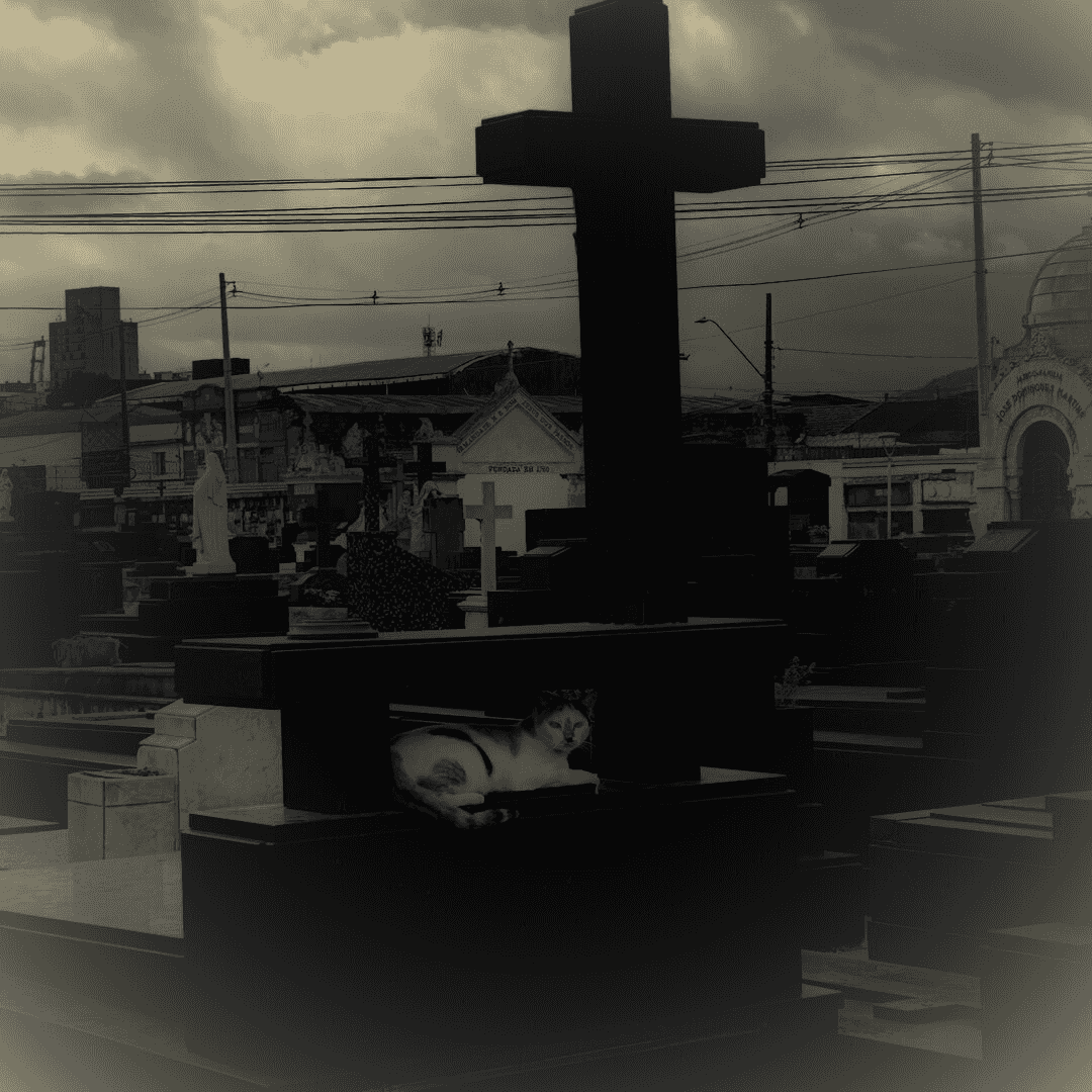 Imagem do evento PAULISTA CULTURAL | O PODER SOBRENATURAL DE CONTAR HISTÓRIAS