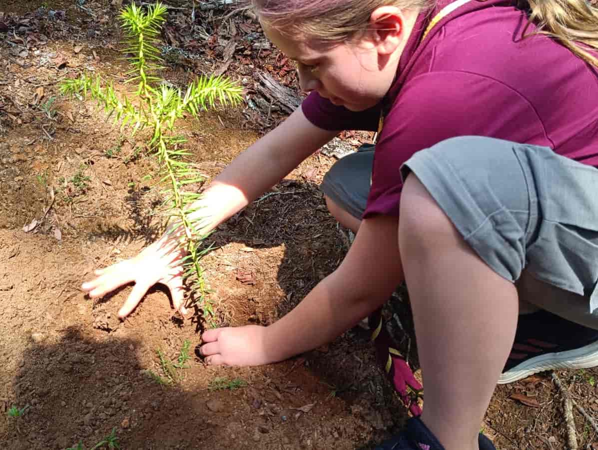 Imagem do evento Família no Museu: Plantio de Mudas