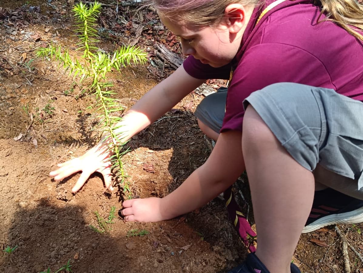 Banner do evento Família no Museu: Plantio de Mudas