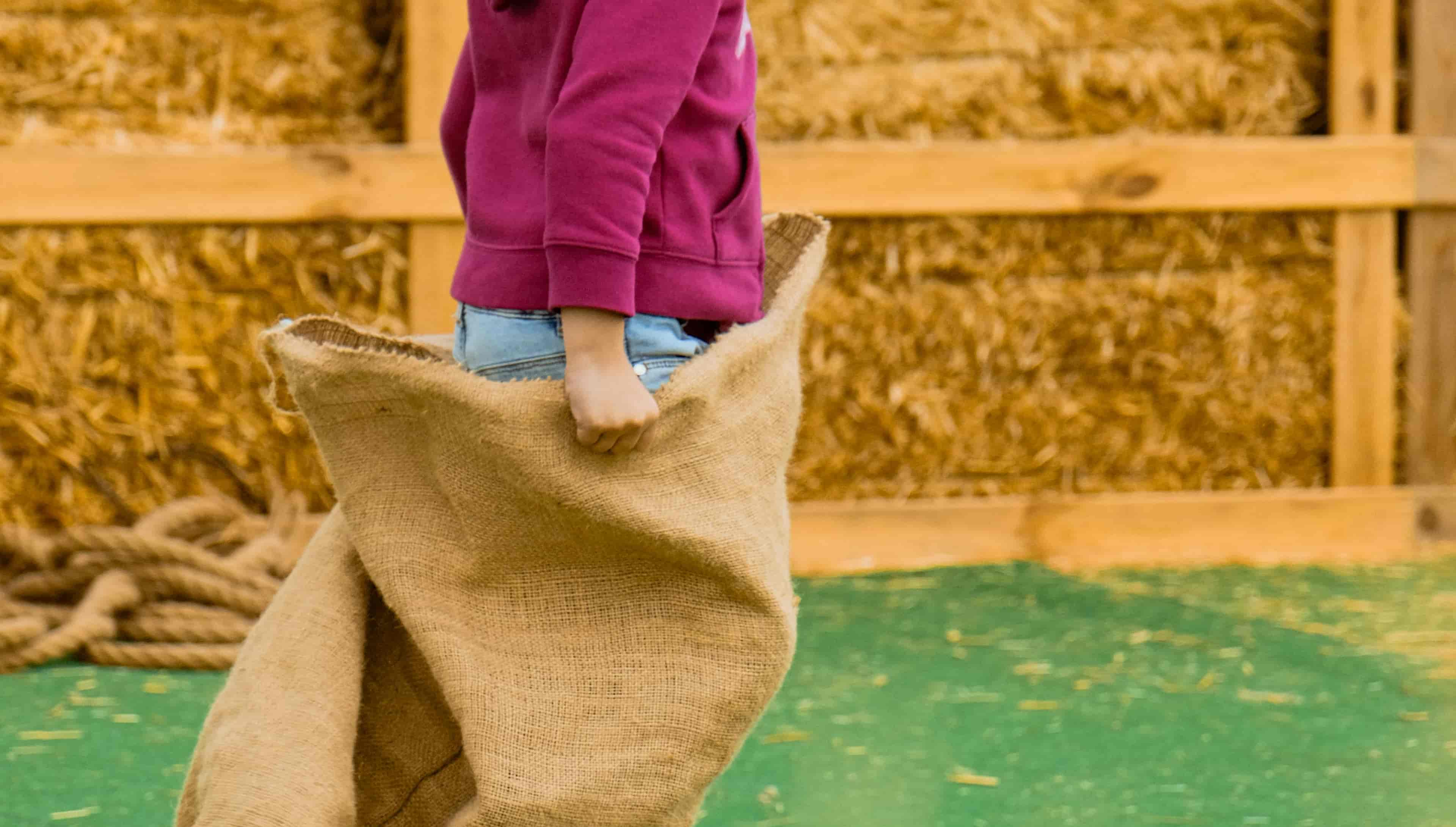 Imagem do evento CORRIDA DE SACO