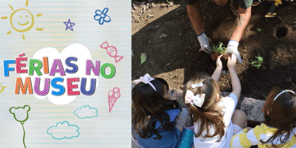 Imagem do evento Férias no Museu | Oficina de Terrário: Meu terrário, nossa memória