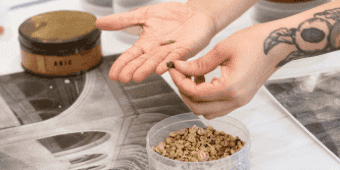 Imagem do evento Ação educativa | Bagagem do Saber