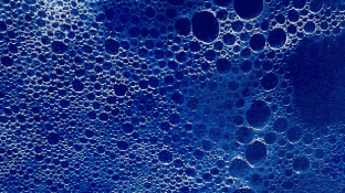 Imagem do evento Ação educativa | Oficina de Cianotipia