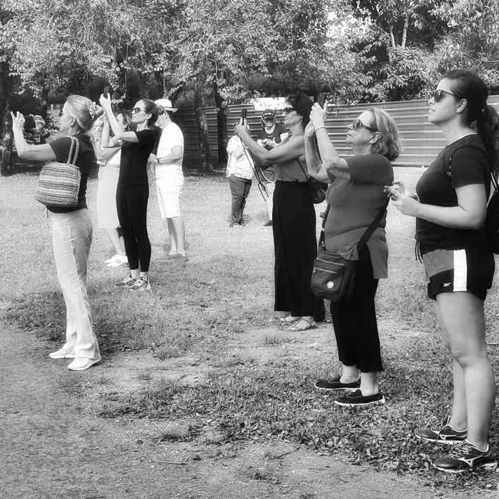 Imagem do evento Como fotografar com celular