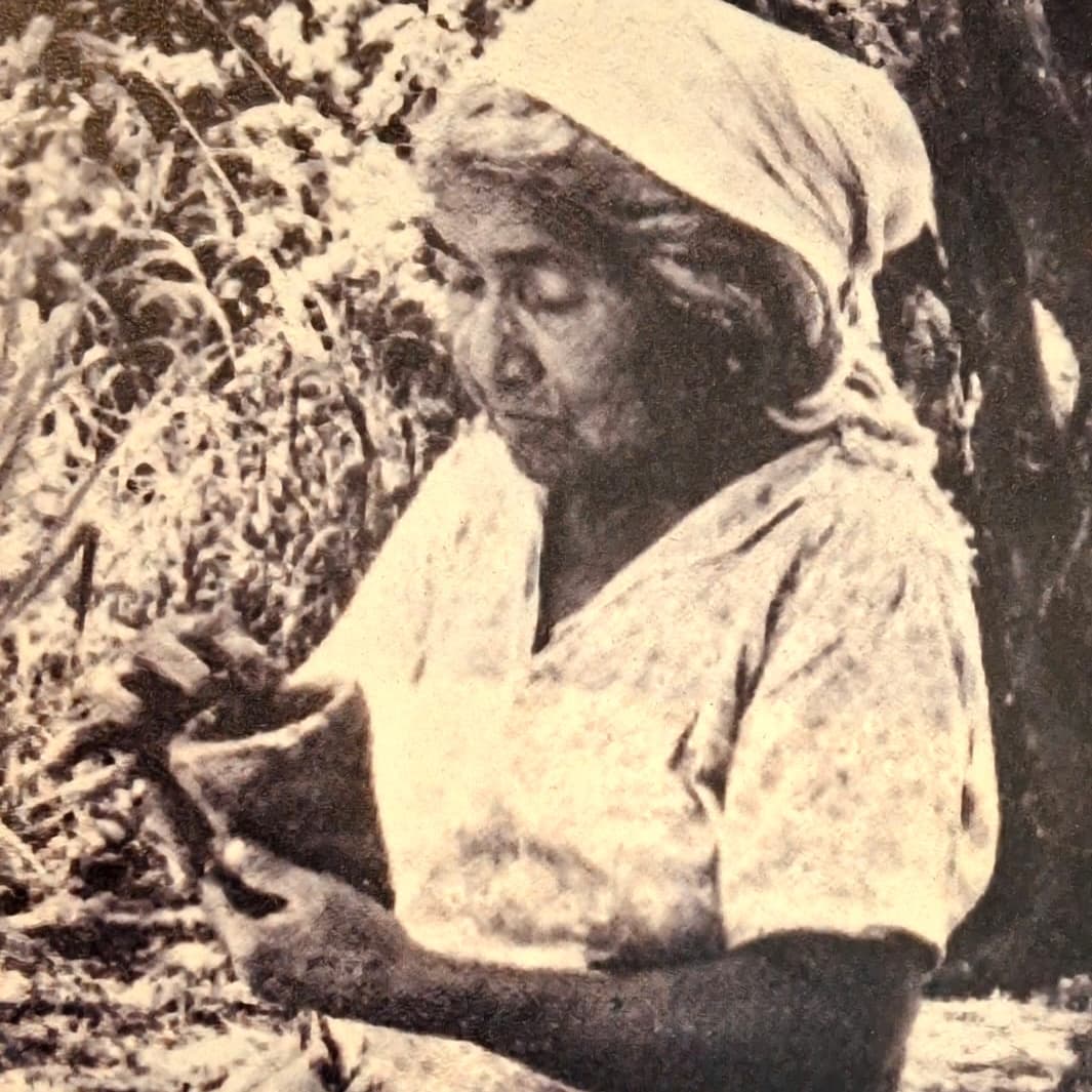 Banner do evento A força da mulher na ancestralidade dos povos originários.