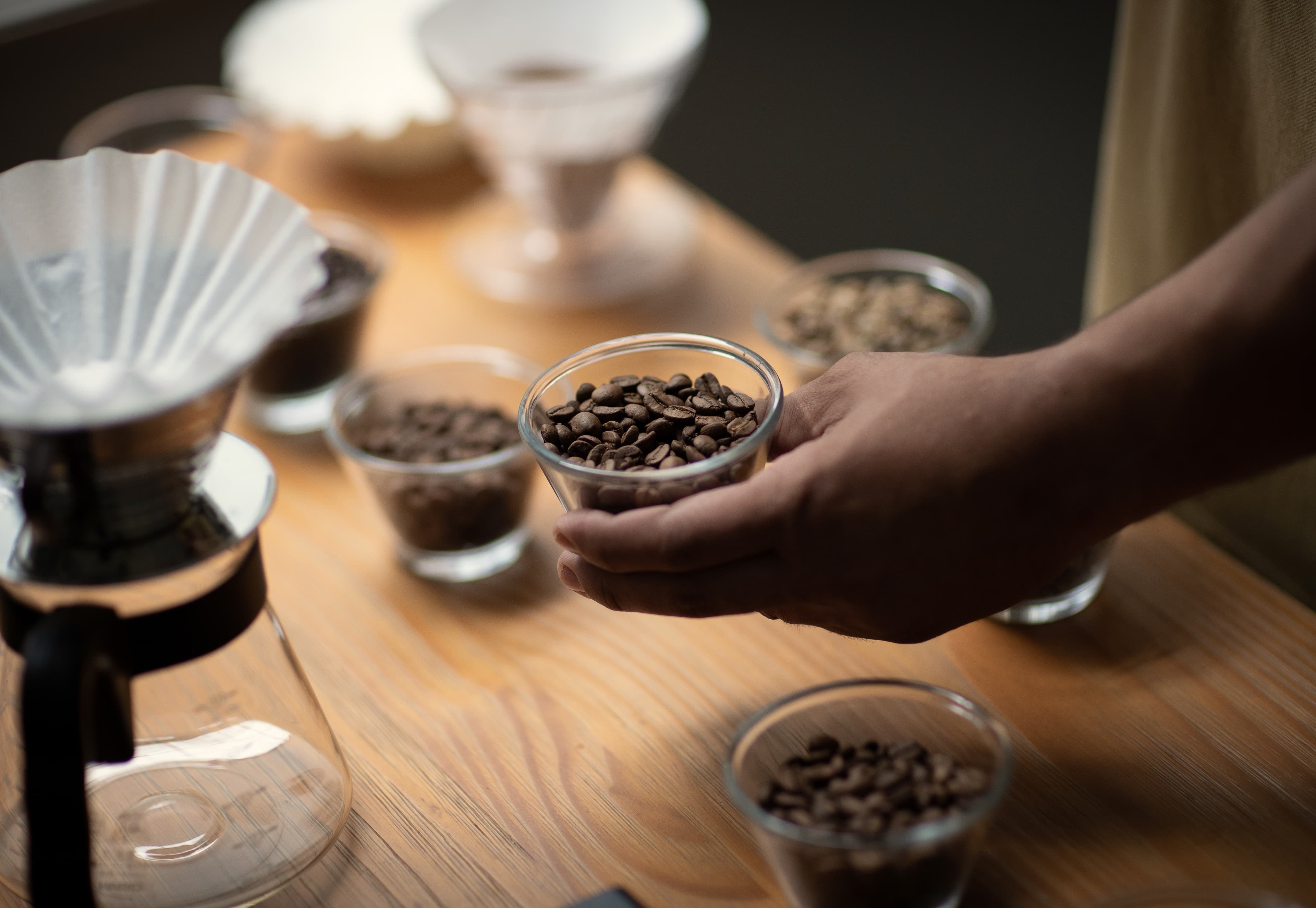 Banner do evento Programação Mês da Mulher | Workshop: Mulher na Área de Qualidade do Café