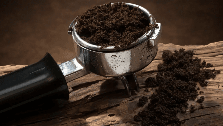 Banner do evento Programa Sejam Bem - Vindos | Plantando com Café