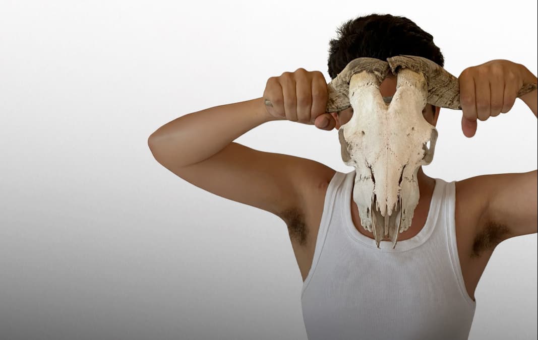 Banner do evento Mostra de solos “Dentro/Fora”