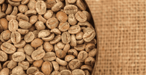 Banner do evento Workshop | Explorando o Sensorial do Café, com Dora Coffee Roaster