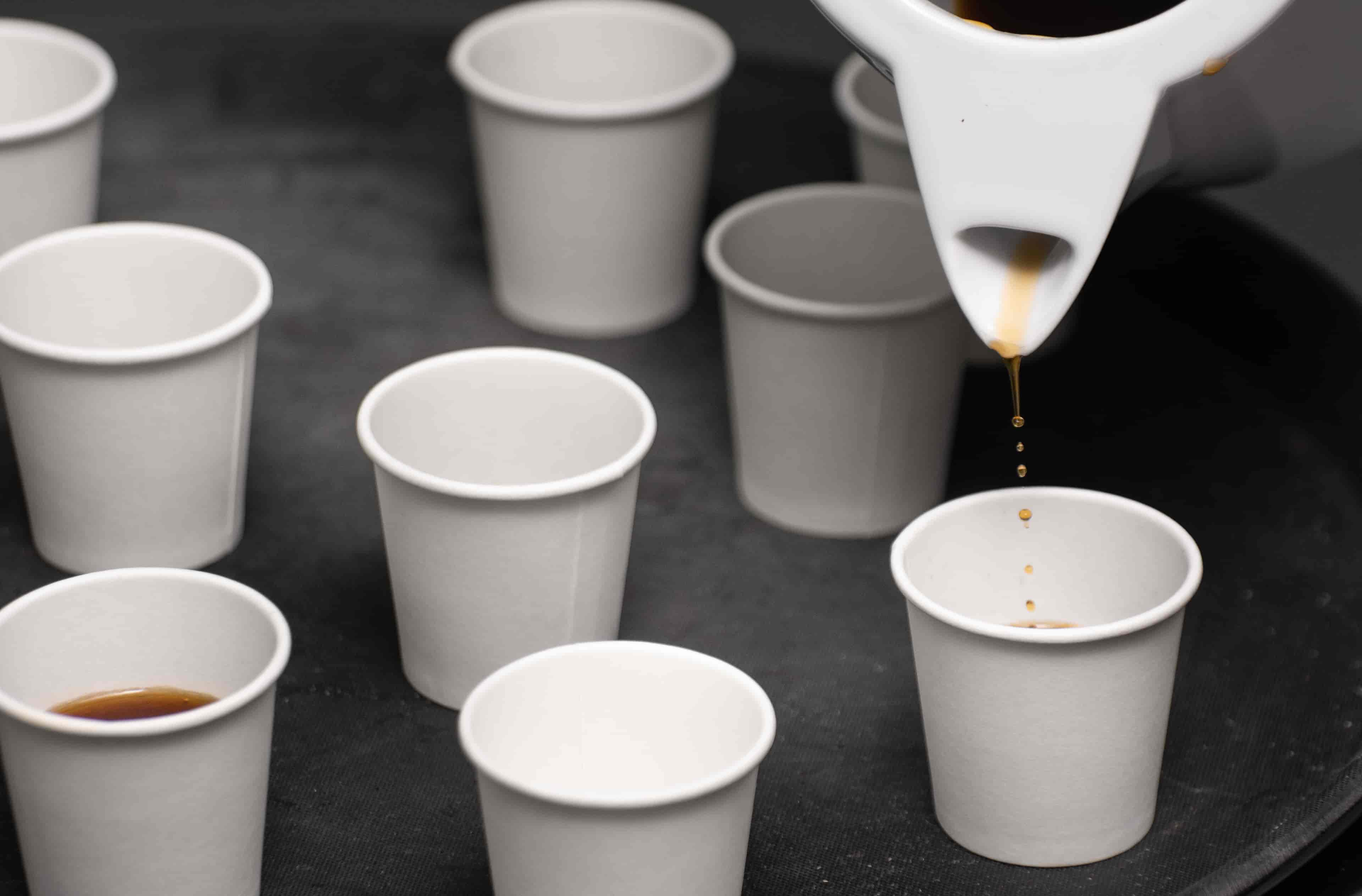 Imagem do evento Mês das Mulheres | Degustações de café