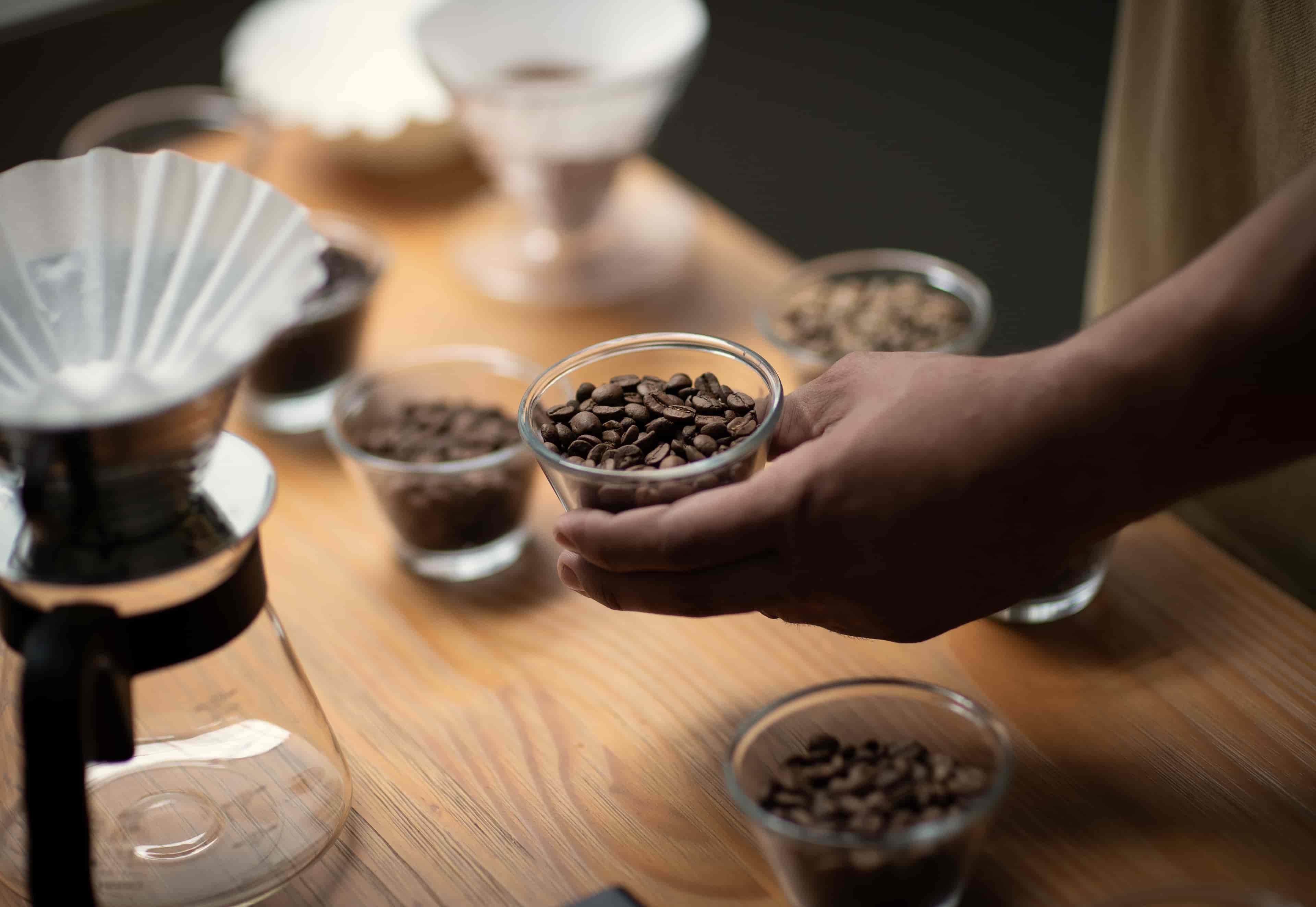 Imagem do evento Programação Mês da Mulher | Workshop: Mulher na Área de Qualidade do Café