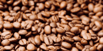 Imagem do evento Programa Sejam Bem - Vindos | Grãos e brincadeiras